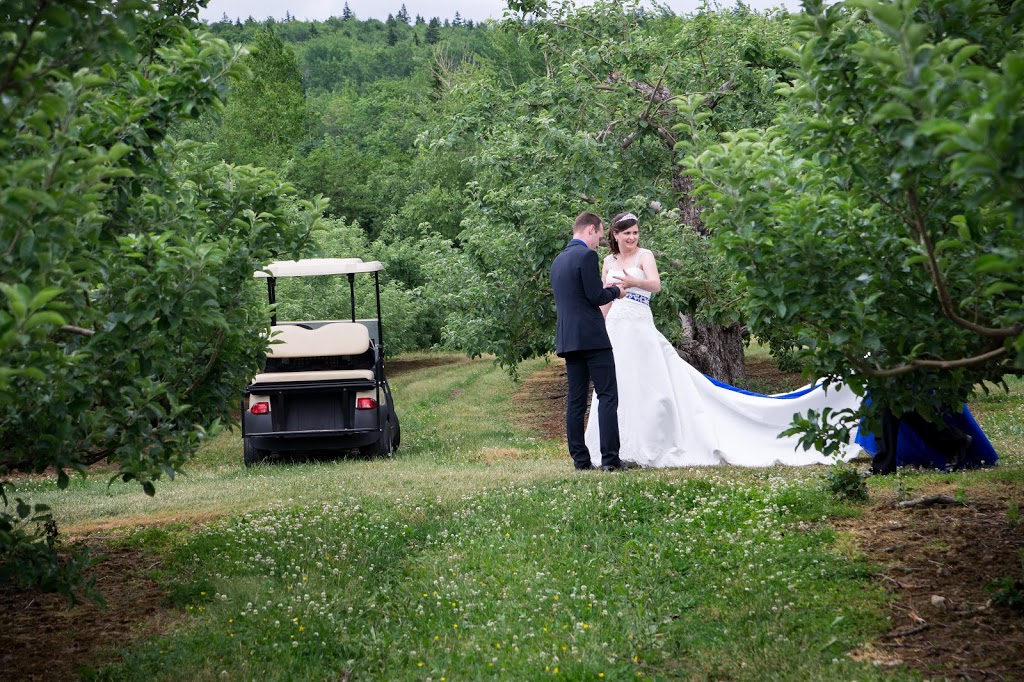 bARNDOOR STUDIO.ca | 1894 King St, Windsor, NS B0N 2T0, Canada | Phone: (902) 791-1641