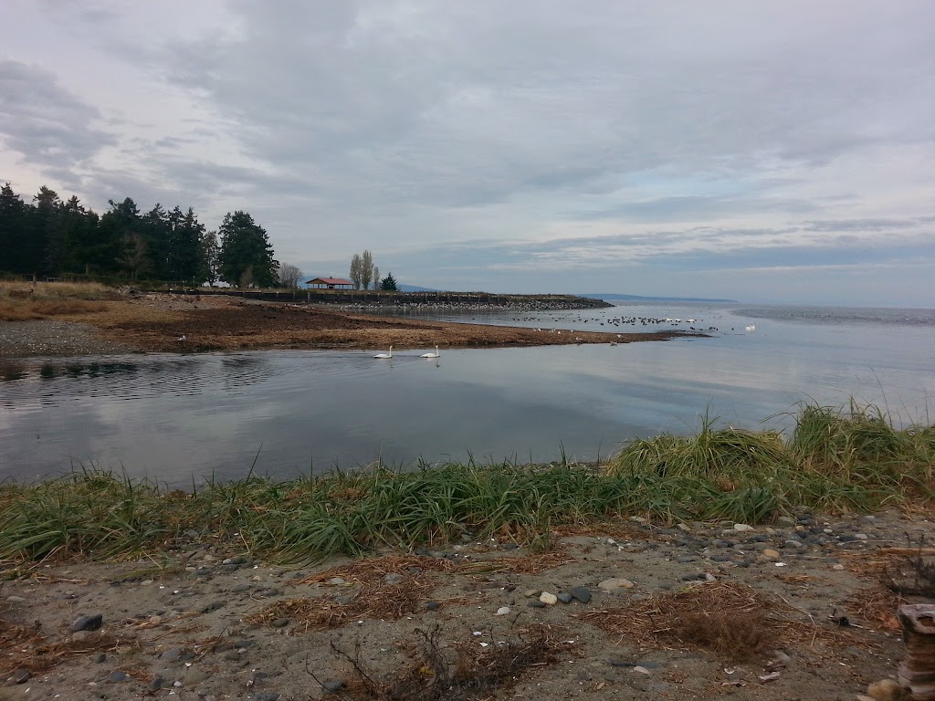 Josh Muise Designs | 19 - 5251 Island Highway, 5251 Island Hwy W, Qualicum Beach, BC V9K 2C1, Canada | Phone: (902) 482-2809