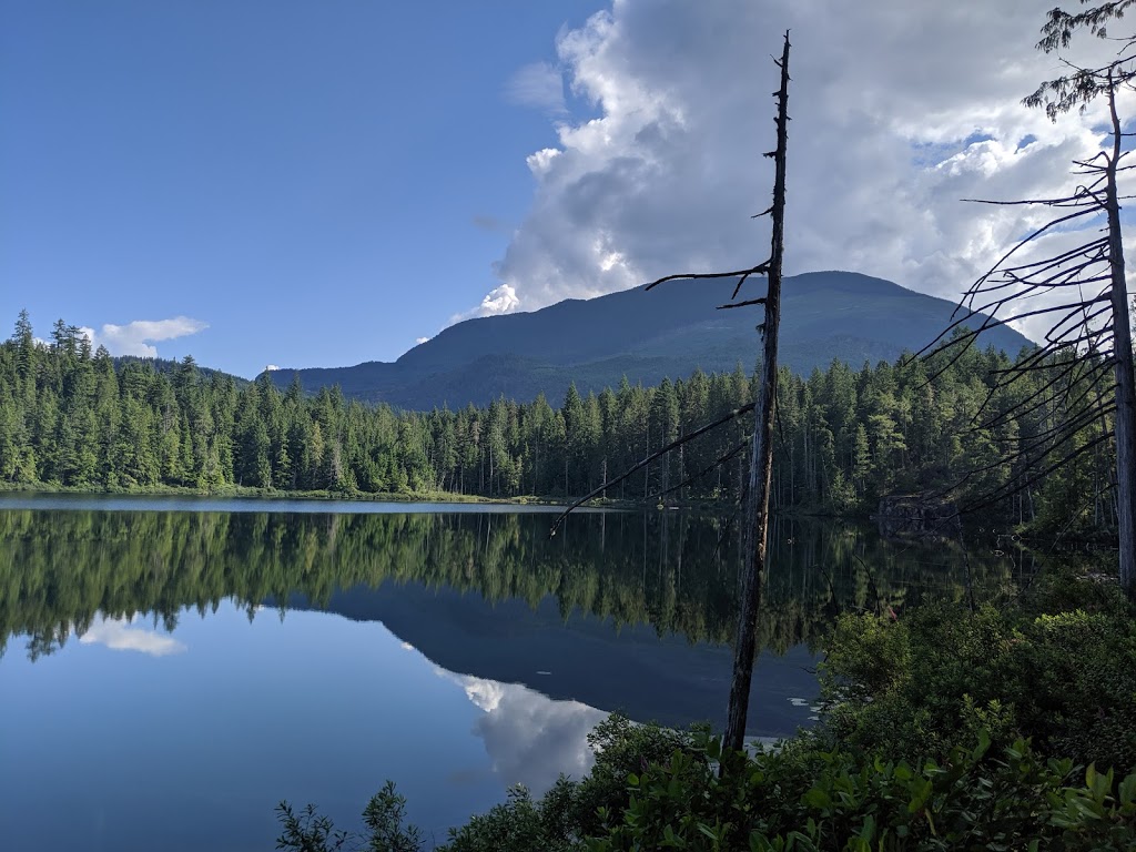 Skookumchuck Narrows Provincial Park | 6671 Egmont Rd, Egmont, BC V0N 1N0, Canada | Phone: (604) 885-3714