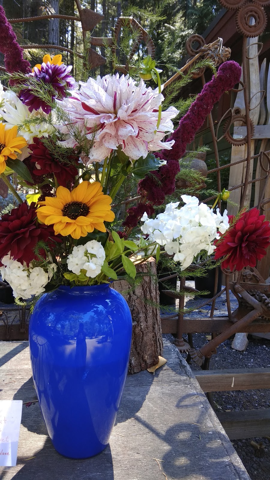 Farm Gate Store | 568 Fernhill Rd, Mayne Island, BC V0N 2J2, Canada | Phone: (250) 539-3700