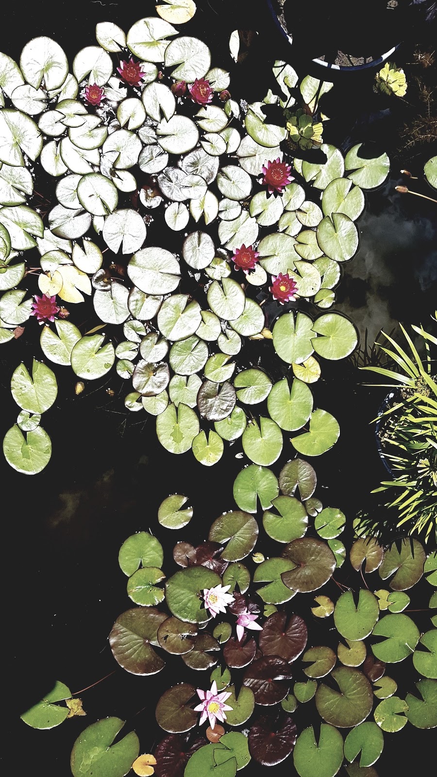 Arthur Meighen Gardens | 55-59 Queen St, Stratford, ON N5A 4M9, Canada | Phone: (519) 273-1600
