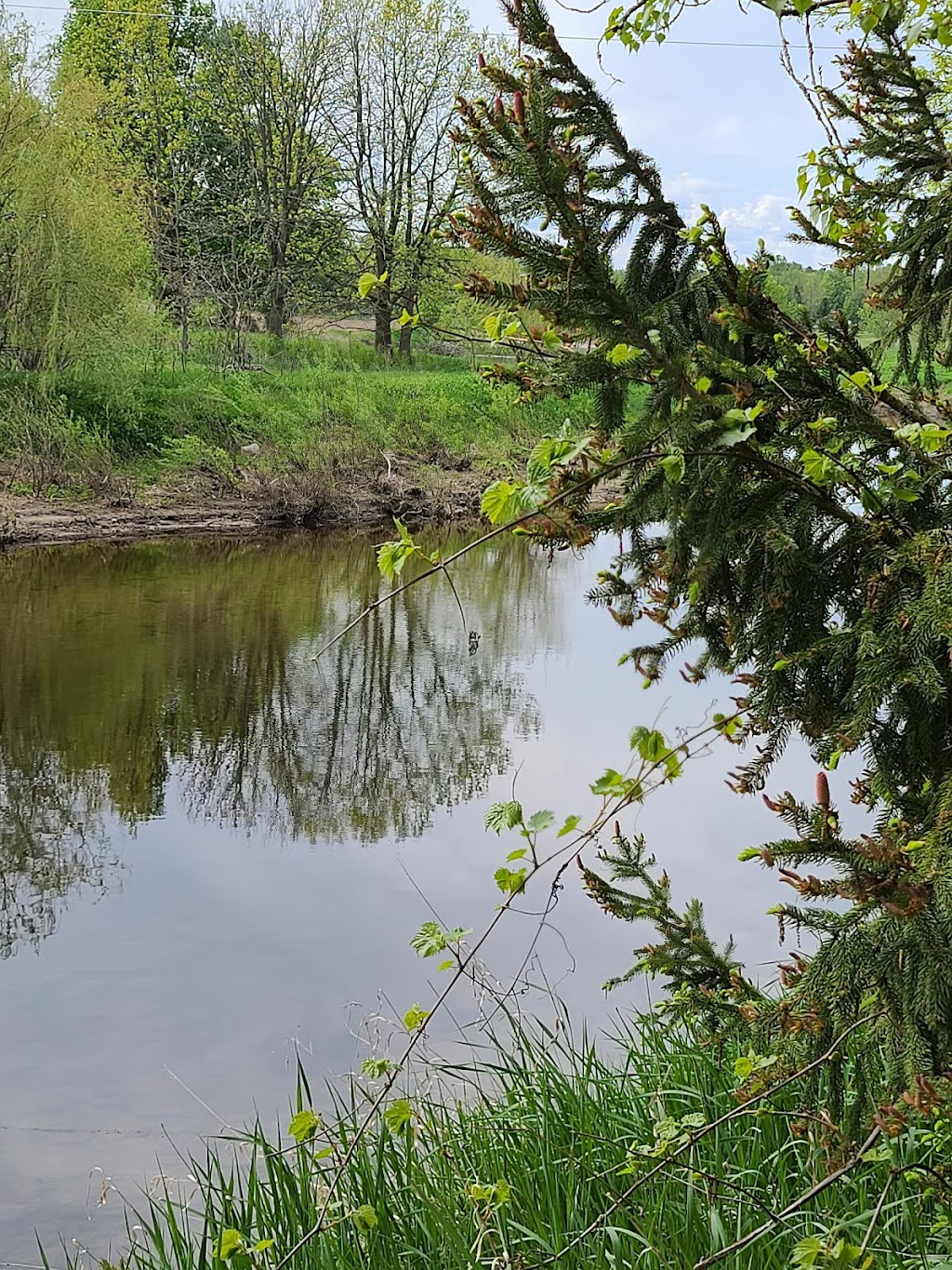Trout River Golf | 2222 Chem. Watson, Athelstan, QC J0S 1A0, Canada | Phone: (450) 264-2272