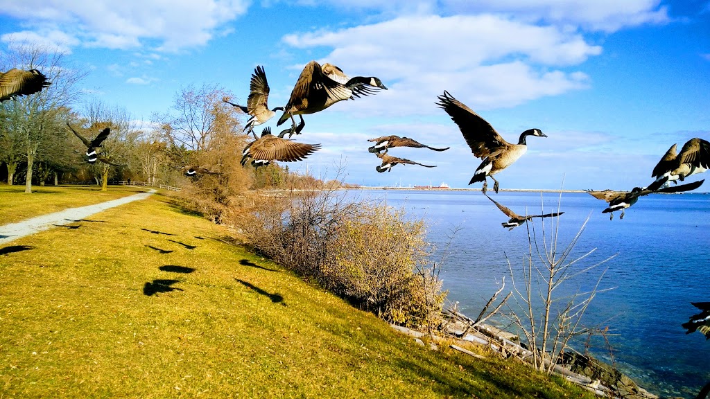 Arkendo Park | 2494 Lakeshore Rd E, Oakville, ON L6J 7Y6, Canada