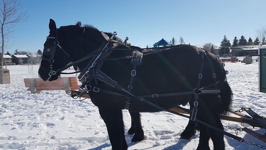 Dick Laurin’s Hay and Sleigh Rides | 530048 Range Rd 183, Edmonton, AB T6P 1V3, Canada | Phone: (780) 464-0234