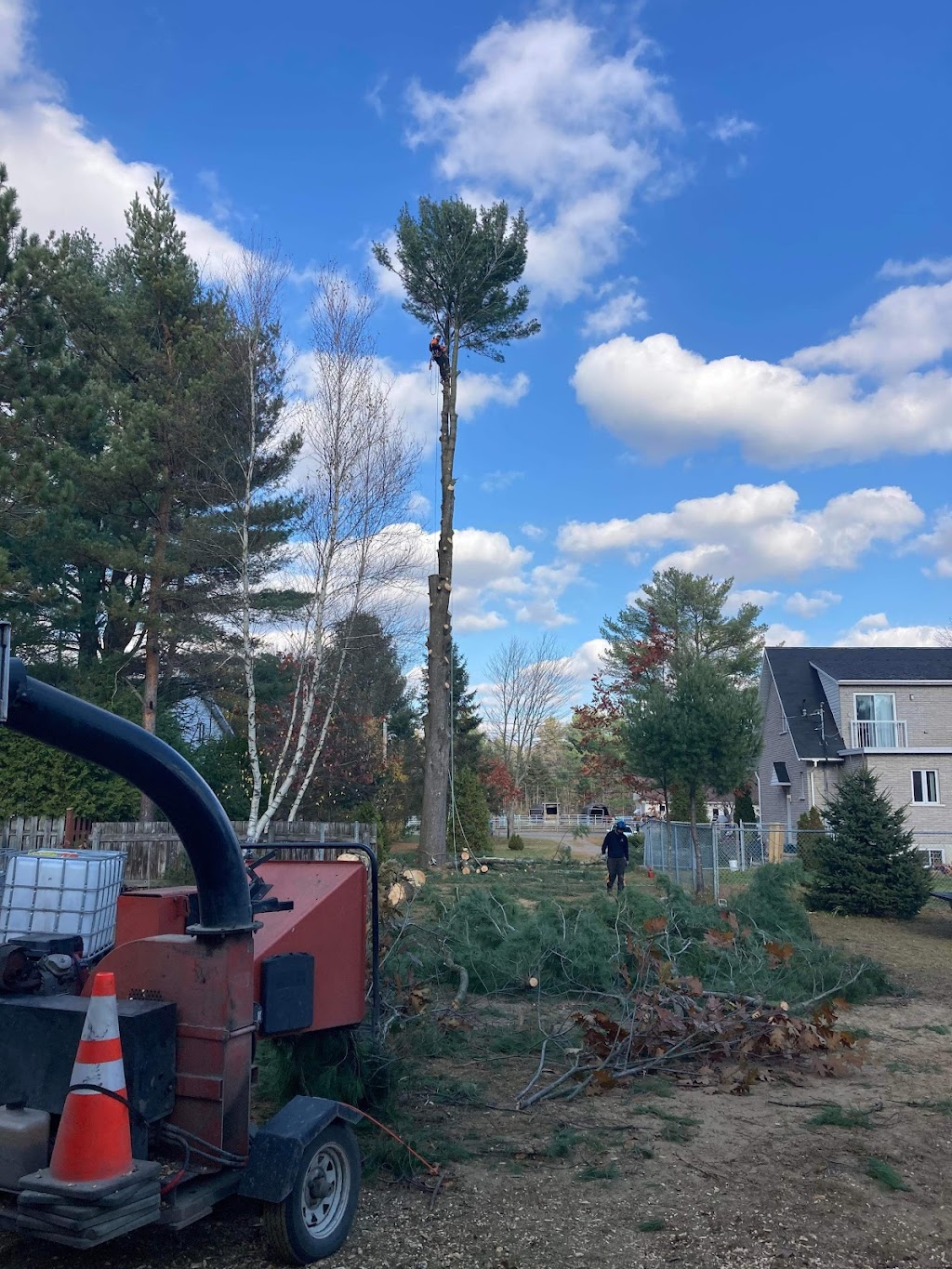 Arboriculture St-Germain | 1296 Rang Saint-Achille, Saint-Ubalde, QC G0A 4L0, Canada | Phone: (418) 326-0517