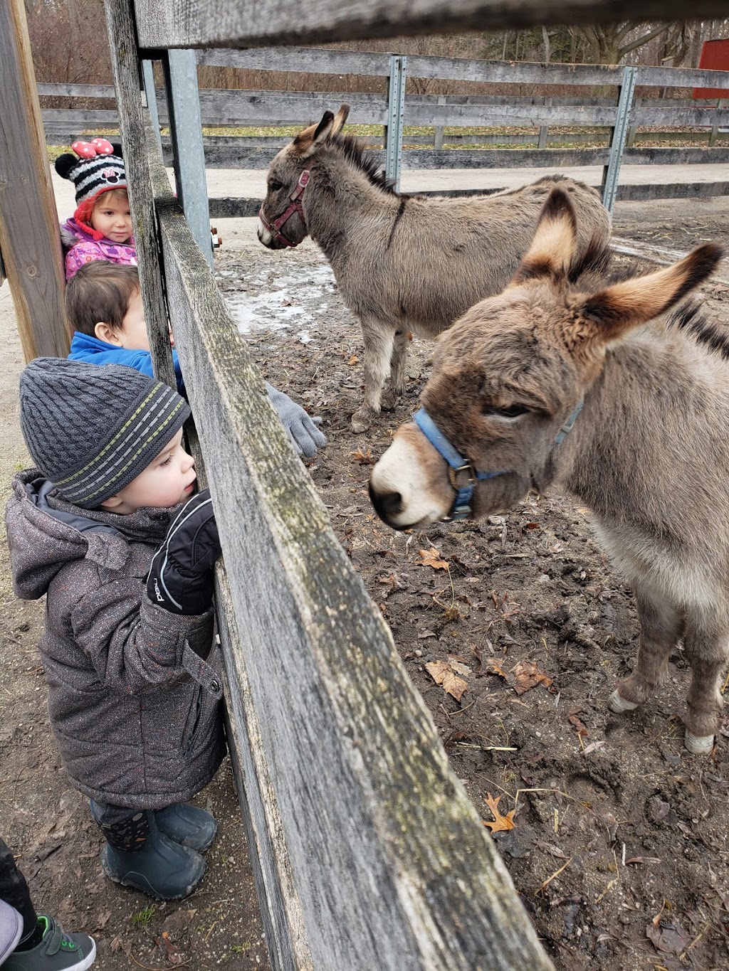 fallans friends home daycare | 84 Norway Maple Dr, Chatham, ON N7L 5E1, Canada | Phone: (519) 350-7005