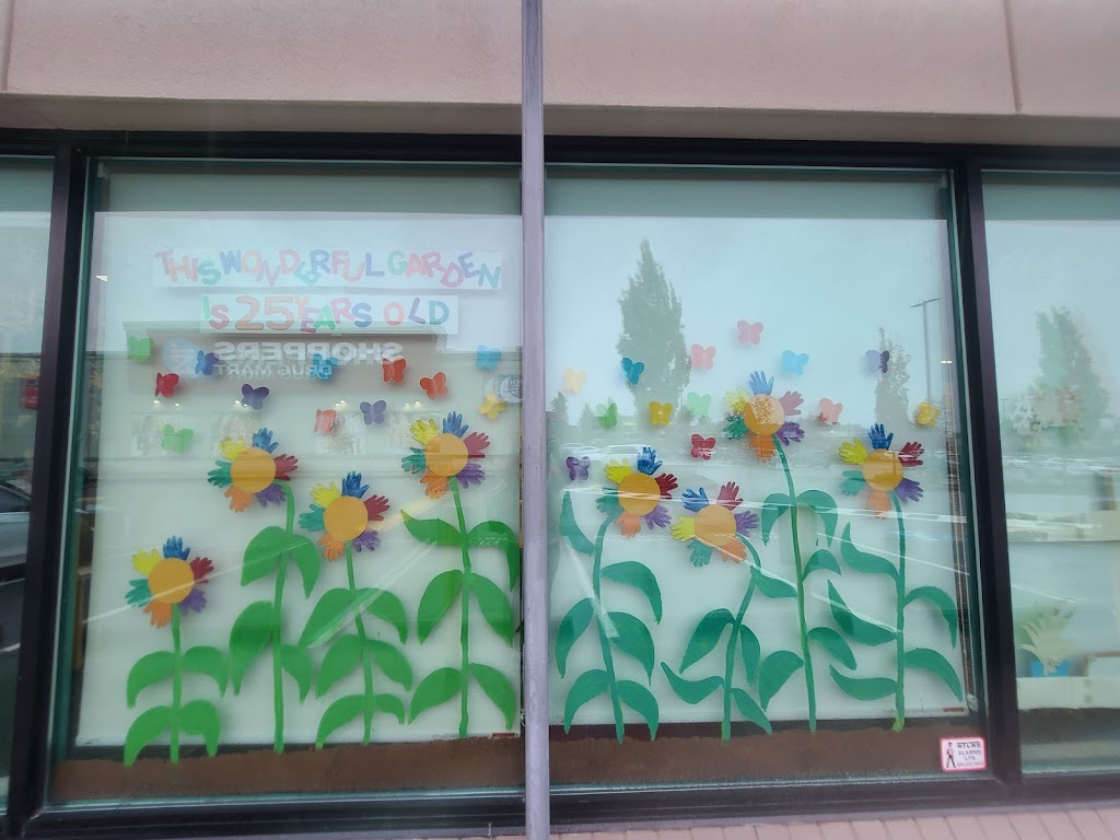 Creative Kids - Langley Meadows | 101-102 19916 64th Ave, Langley, BC V2Y 1A2, Canada | Phone: (604) 427-1860
