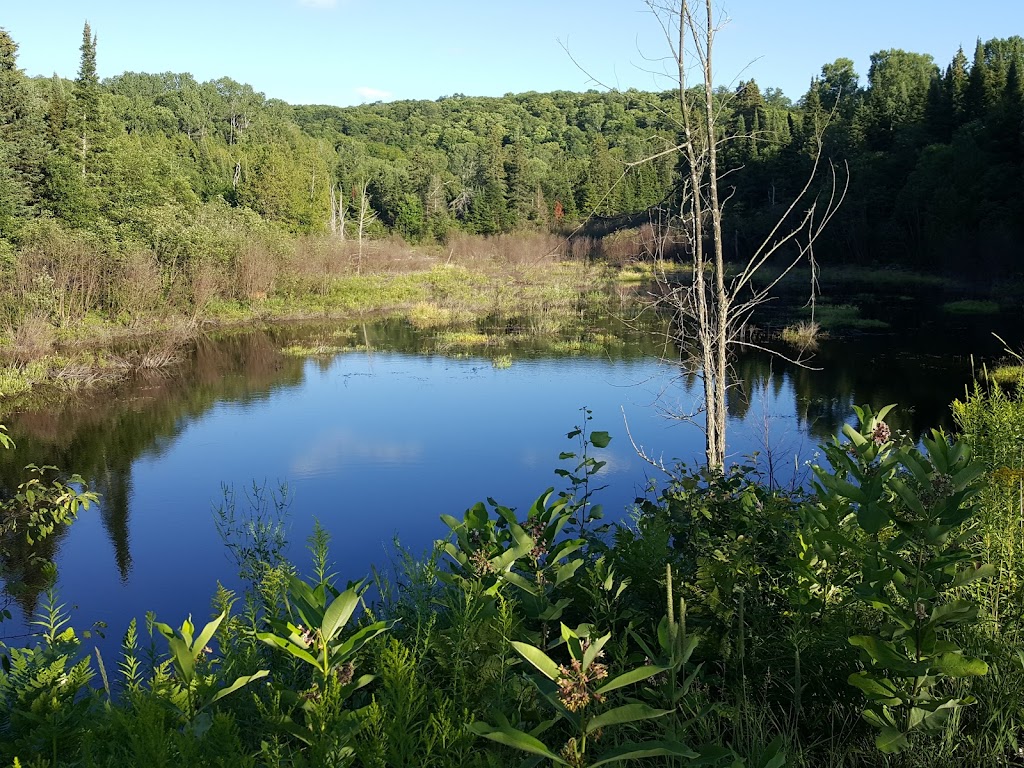 Haliburton Highlands Health Services | 7199 Gelert Rd, Dysart et al, ON K0M 1S0, Canada | Phone: (705) 457-1392
