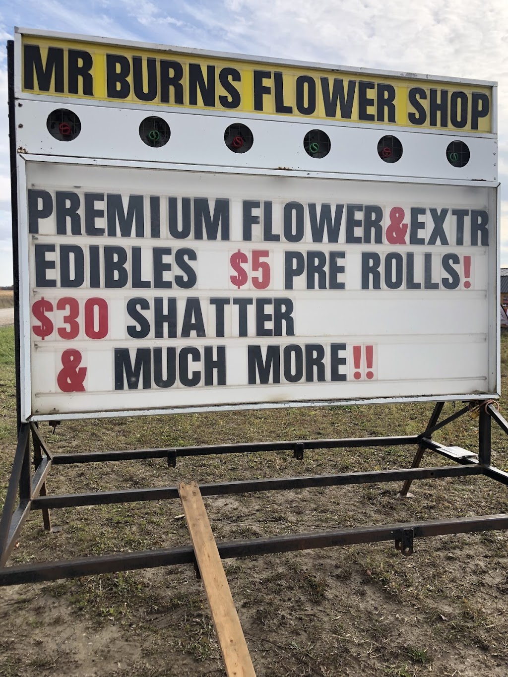 Mr Burns Flower Shop | 6103 Bodkin Rd, Southwold, ON N0L 2G0, Canada | Phone: (519) 719-2237
