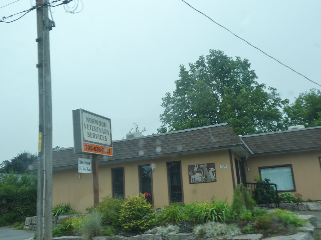 Norwood Veterinary Services | 4248 Hwy 7, Norwood, ON K0L 2V0, Canada | Phone: (705) 639-2333