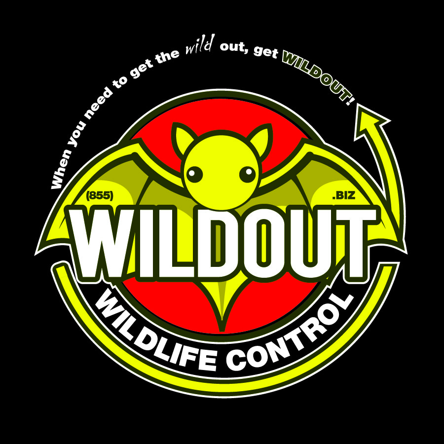 WILDOUT Wildlife Control | Putsey Dr, Caesarea, ON L0B 1E0, Canada | Phone: (855) 945-3688