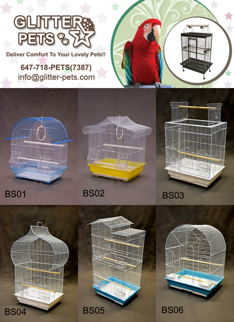 Glitter Pet Supplies | 190 Britannia Rd E #20, Mississauga, ON L4Z 2E7, Canada | Phone: (647) 718-7387