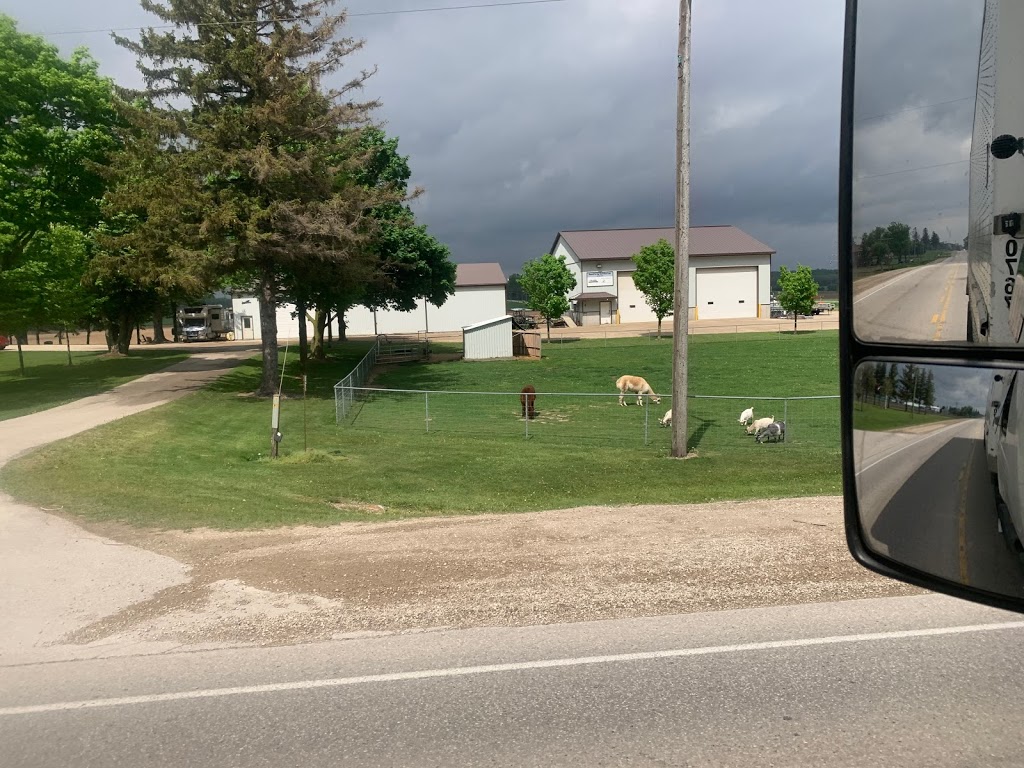 Outback Tree Farm | 5290 Perth County Line 86, Listowel, ON N4W 3G8, Canada | Phone: (519) 291-4754