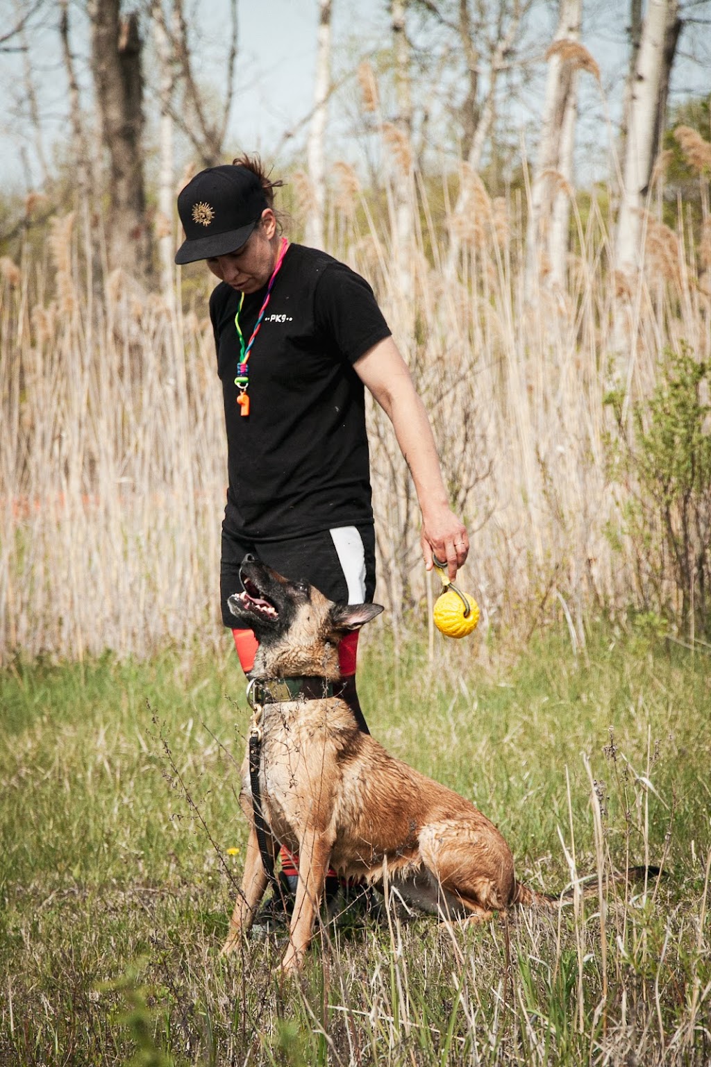 Duo Dog Training | 98 William St #208, Mississauga, ON L5M 1J5, Canada | Phone: (647) 219-5634