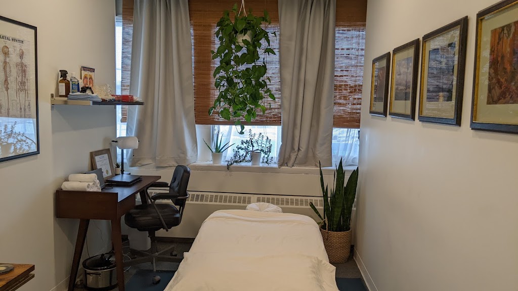 Alison Bayes, Registered Acupuncturist | 688 Coxwell Avenue Suite 203, Mailbox 10, Toronto, ON M4C 3B6, Canada | Phone: (416) 570-9925