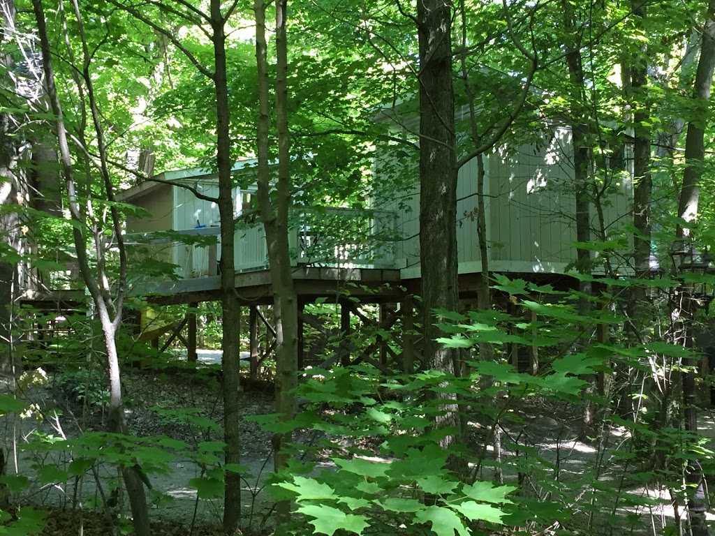 Camp Couchiching | 3990 Longford Mills Rd, Longford Mills, ON L0K 1L0, Canada | Phone: (705) 325-3428
