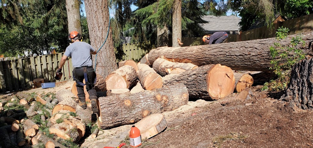 Nomad Tree Service | 5671 Falls St, Port Alberni, BC V9Y 8K7, Canada | Phone: (250) 735-2674