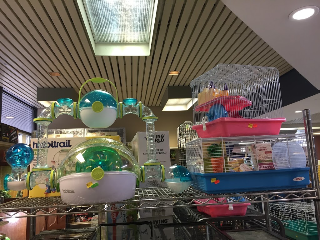 Aqua Tropicale | 159 Rue Lasalle, Saint-Constant, QC J5A 2G8, Canada | Phone: (450) 633-0775