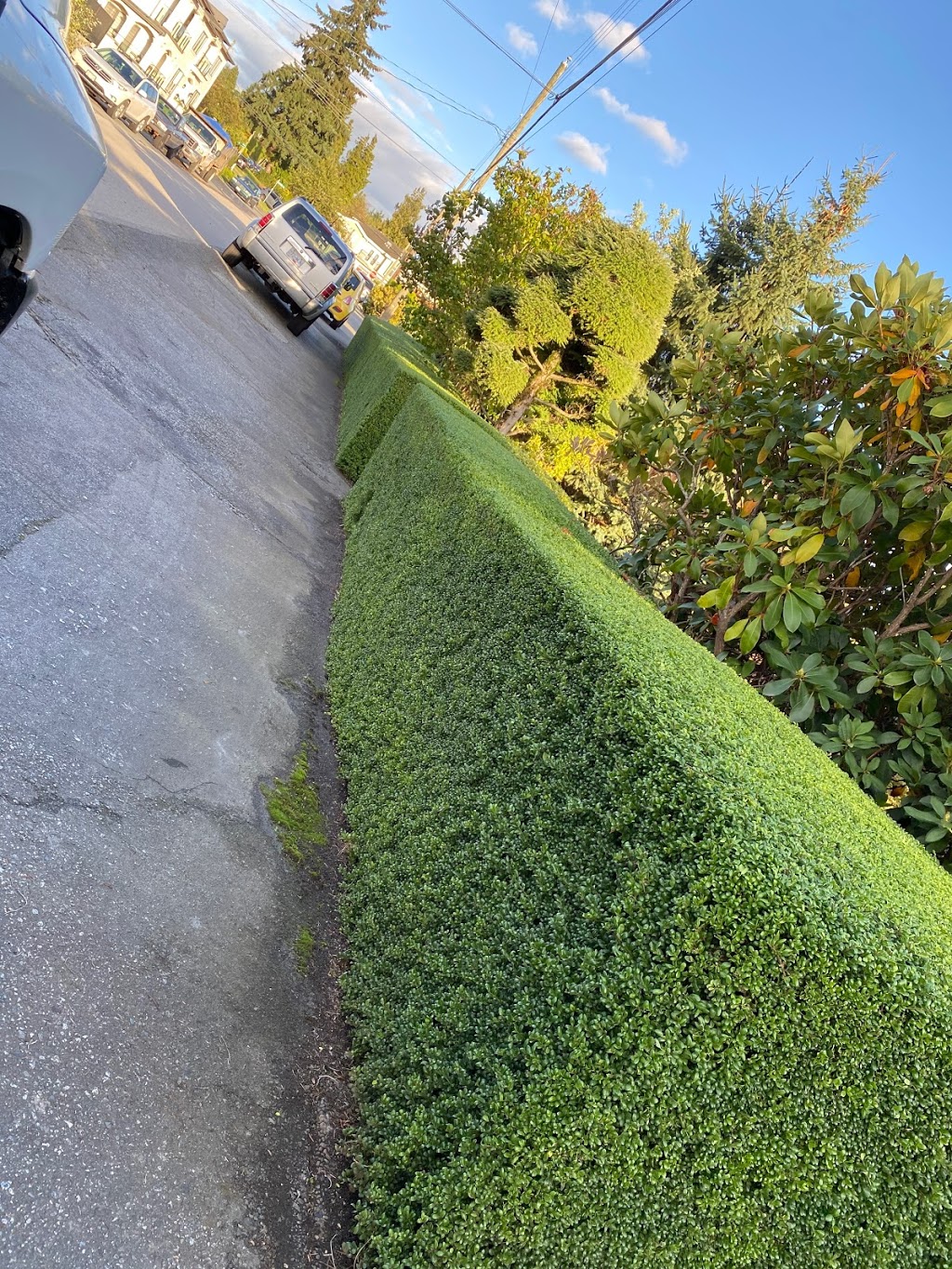 David Bui Landscaping | 15910 91a Ave, Surrey, BC V4N 2X4, Canada | Phone: (778) 251-8927