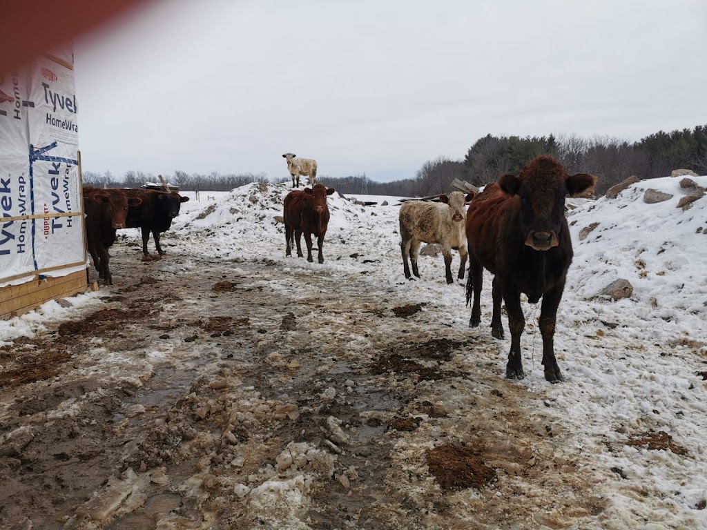 McSmiths Organic Farm | 42828 Shorlea Line, St Thomas, ON N5P 3T1, Canada | Phone: (519) 631-0279