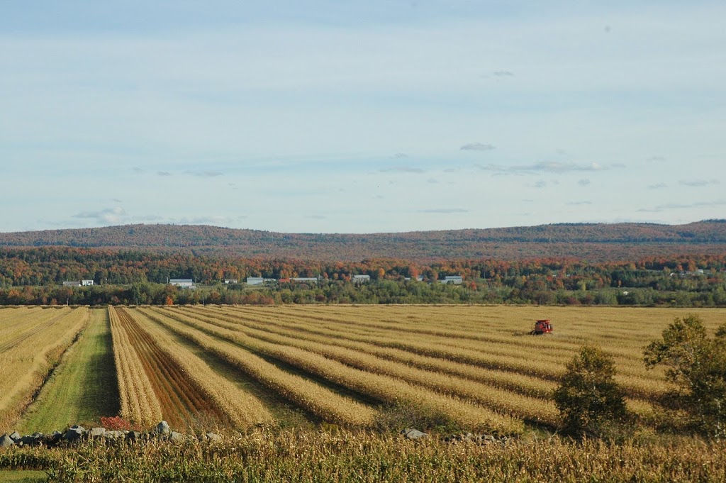 DOMAINE EAU FLEUVE | 400 Chemin des Pionniers O, Cap-Saint-Ignace, QC G0R 1H0, Canada | Phone: (418) 508-1042