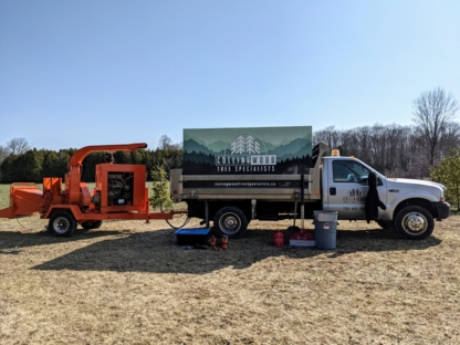 Collingwood Tree Specialists | 44 Erie St, Collingwood, ON L9Y 1P4, Canada | Phone: (705) 441-1899
