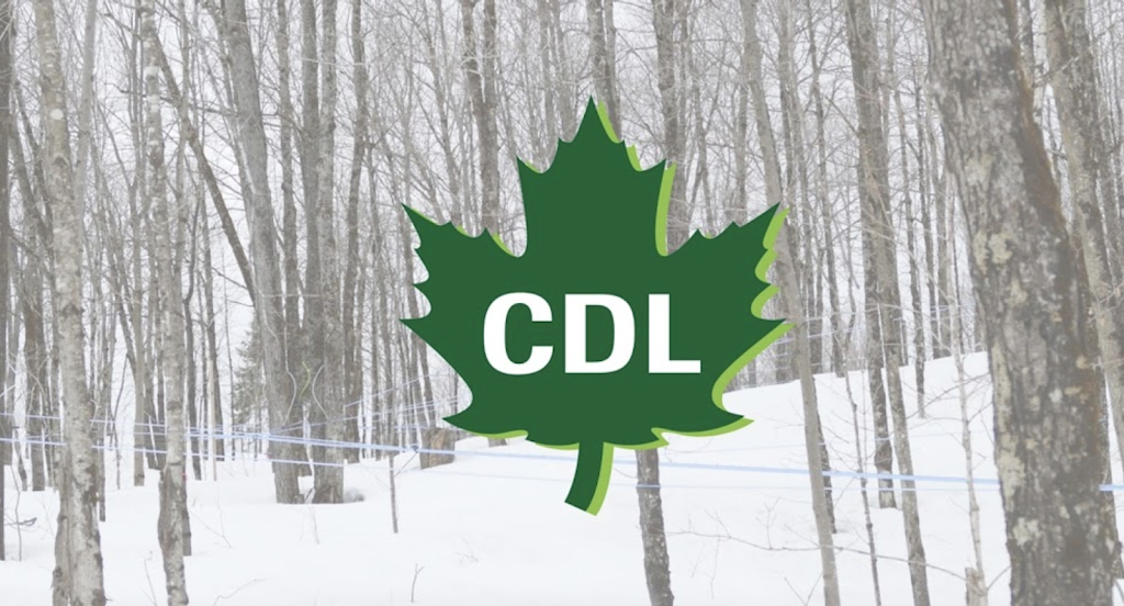 CDL Northeastern NY | 1036 Slosson Rd, West Chazy, NY 12992, USA | Phone: (518) 493-3043