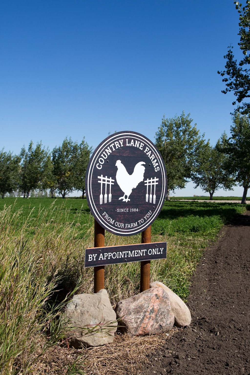 Country Lane Farms | Wheatland County, AB T0J 1Y0, Canada | Phone: (403) 934-2755