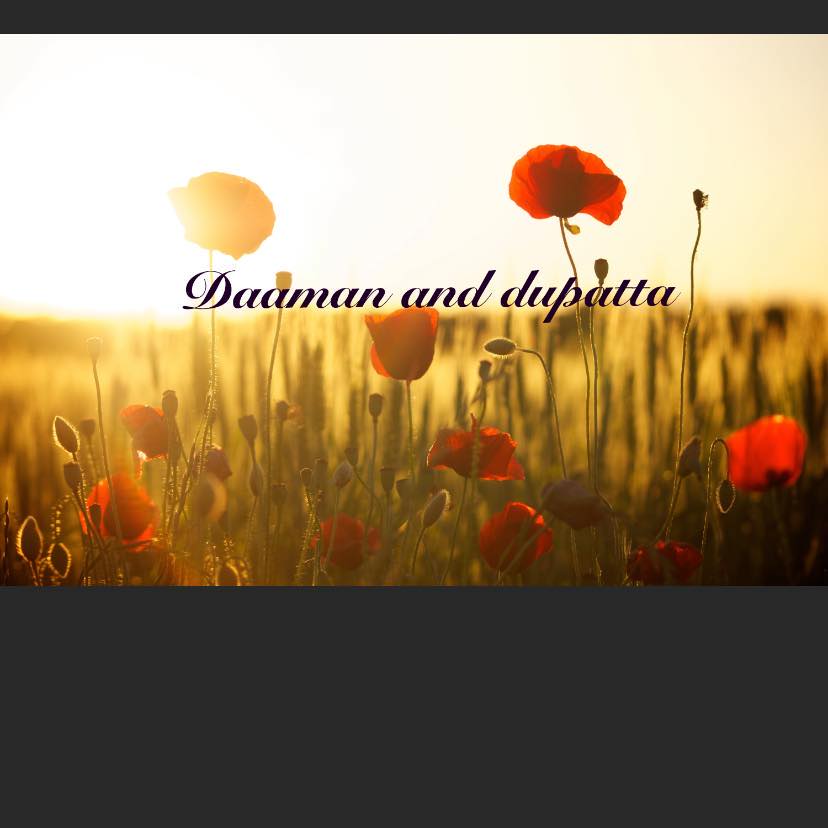 Daaman and Duppatta | 42 Rue du Blainvillier, Blainville, QC J7C 5B2, Canada | Phone: (514) 653-2651