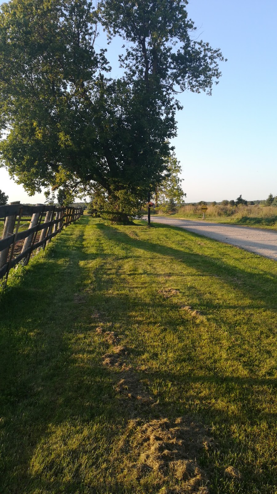 Signature Farms | 4088 5th Line, Innisfil, ON L9S 3B4, Canada | Phone: (905) 505-1754