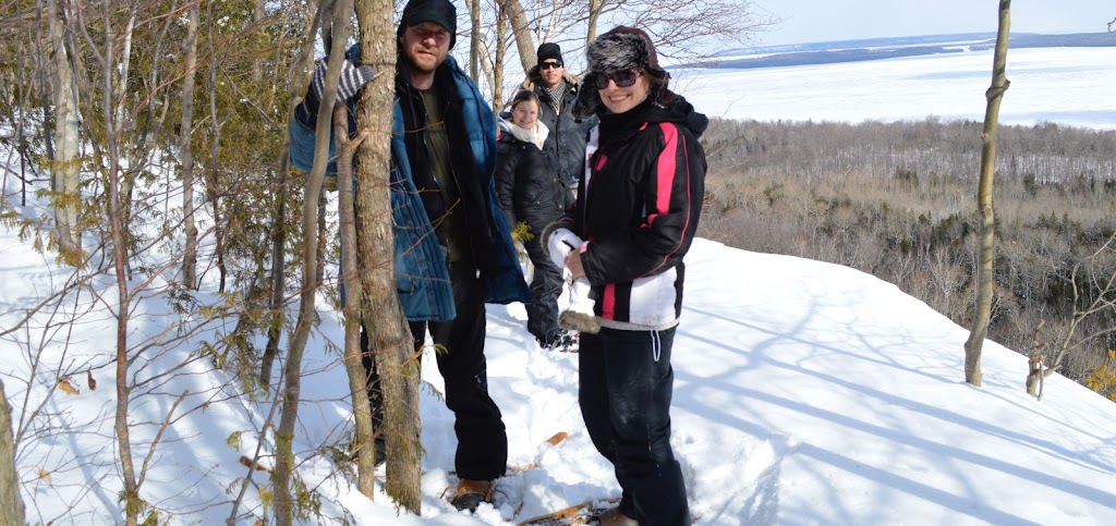 Atelier Arboreal | Highway #6, Wiarton, ON N0H 2T0, Canada | Phone: (226) 668-3030