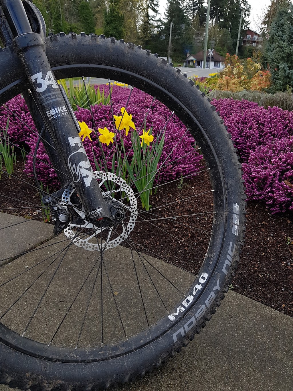 Citrus Cycles Ltd. | 1158 Rocky Creek Rd #1, Ladysmith, BC V9G 1K4, Canada | Phone: (888) 342-0102