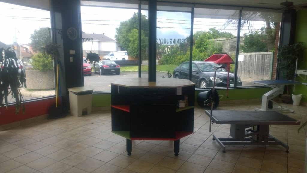Pawrific Spa | 2895 Bank St, Gloucester, ON K1T 1N2, Canada | Phone: (613) 224-3644