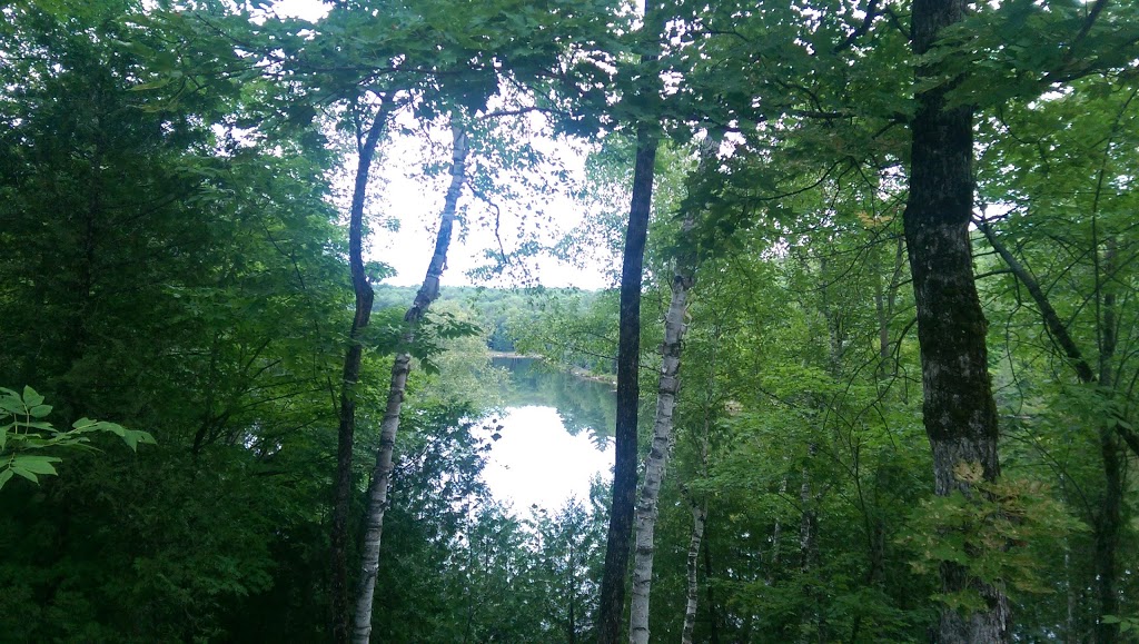Thistle Cottage | 1351 Greg Knights trail,, Minden Hills, ON K0M 2L1, Canada | Phone: (270) 338-4760