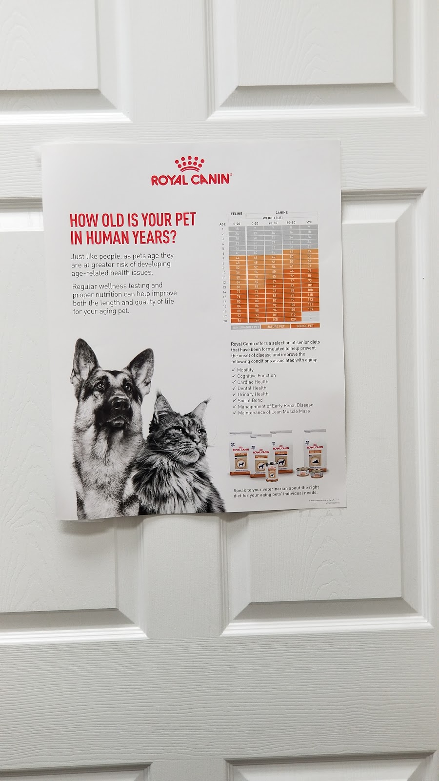 Sunshine Valley Veterinary Medical Centre | 140 Main St #1, Sussex, NB E4E 3E6, Canada | Phone: (506) 433-2200