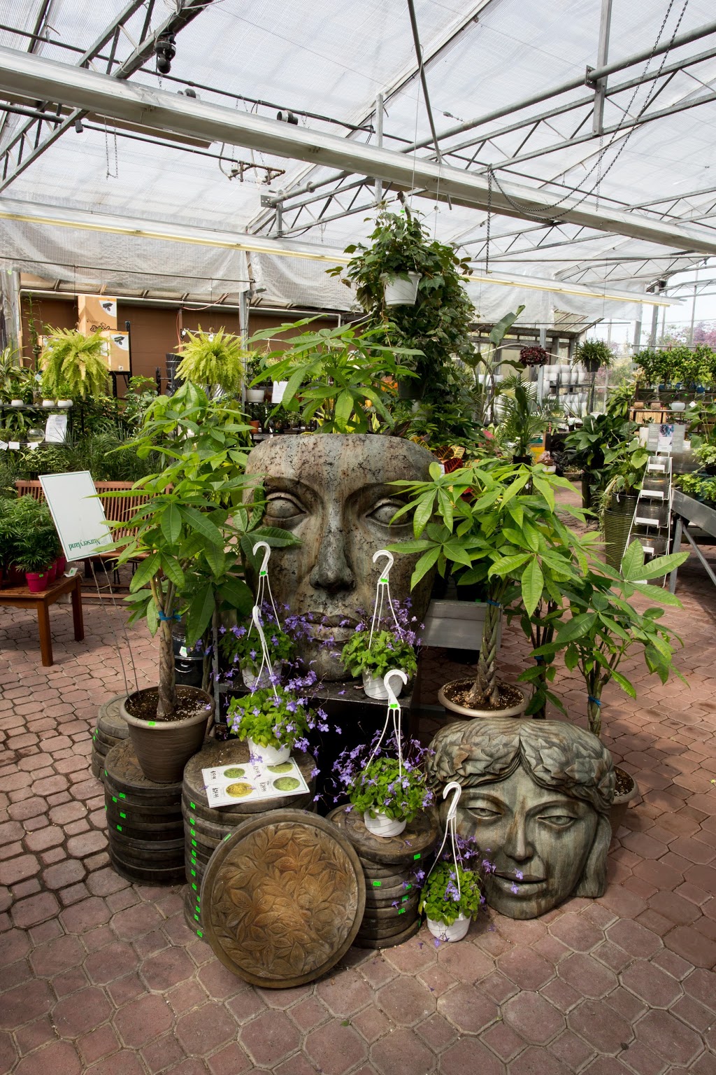 Triple Tree Nurseryland | 20503 Lougheed Hwy, Maple Ridge, BC V2X 2P9, Canada | Phone: (604) 465-9313