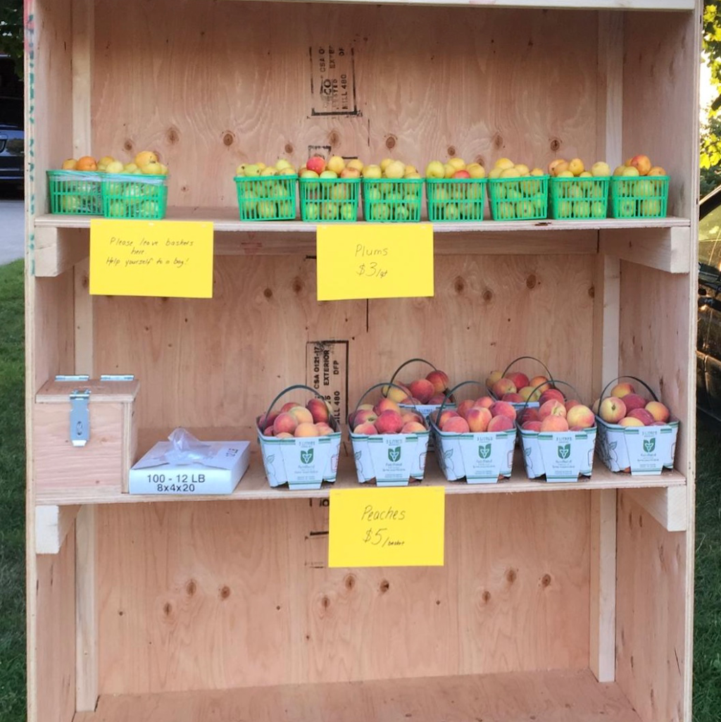 Horizon Fruit | 6936 Horizon Trail, Millbank, ON N0K 1L0, Canada | Phone: (226) 751-5585