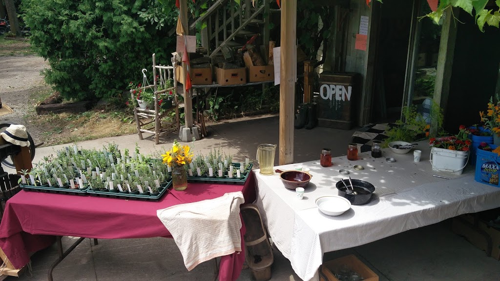 Simpler Thyme Organic Farm | 1749 HWY 6 N, Hamilton, ON L8N 2Z7, Canada | Phone: (905) 659-1576