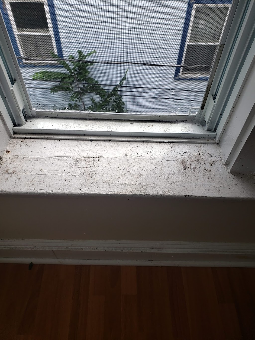 Kleenop Pro Cleaning Services | 52 Jackson Rd Suite A, Dartmouth, NS B3A 4A3, Canada | Phone: (902) 401-6113