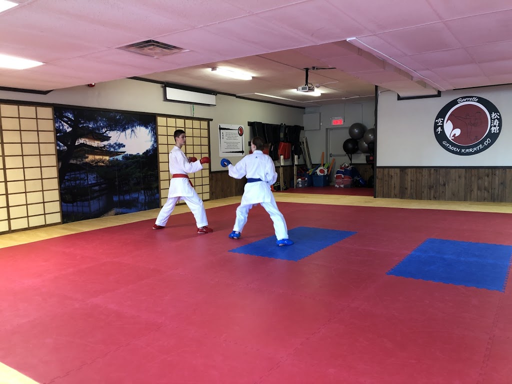 Gaman Karaté-Do | 380 Boul Alexandre-Taché, Gatineau, QC J9A 1M5, Canada | Phone: (819) 607-1192