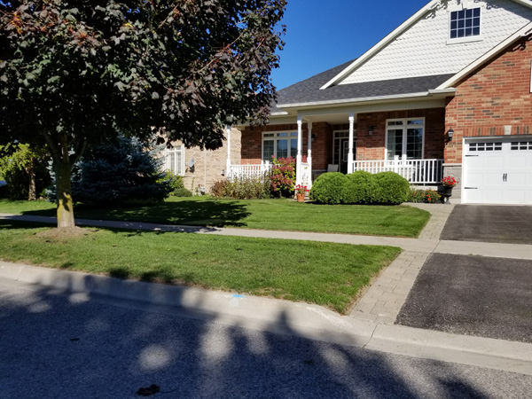 Estate Lawn Care | 10 Gord Matthews Way, Uxbridge, ON L9P 0E9, Canada | Phone: (416) 786-7699