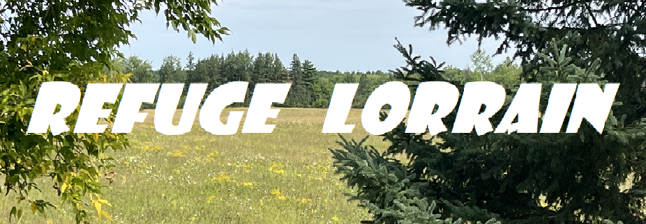 Refuge Lorrain | 1112 Bd Lorrain, Gatineau, QC J8R 3E7, Canada | Phone: (819) 303-7876