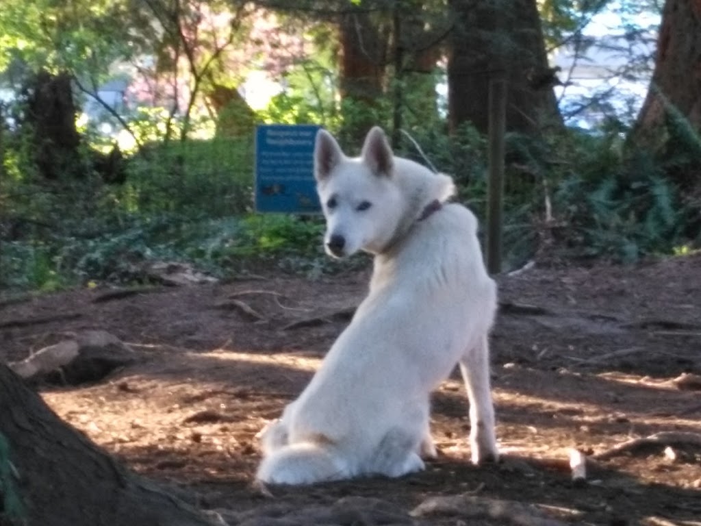 Westview Park Off-Leash Area | 12067-12185 210 St, Maple Ridge, BC V2X, Canada