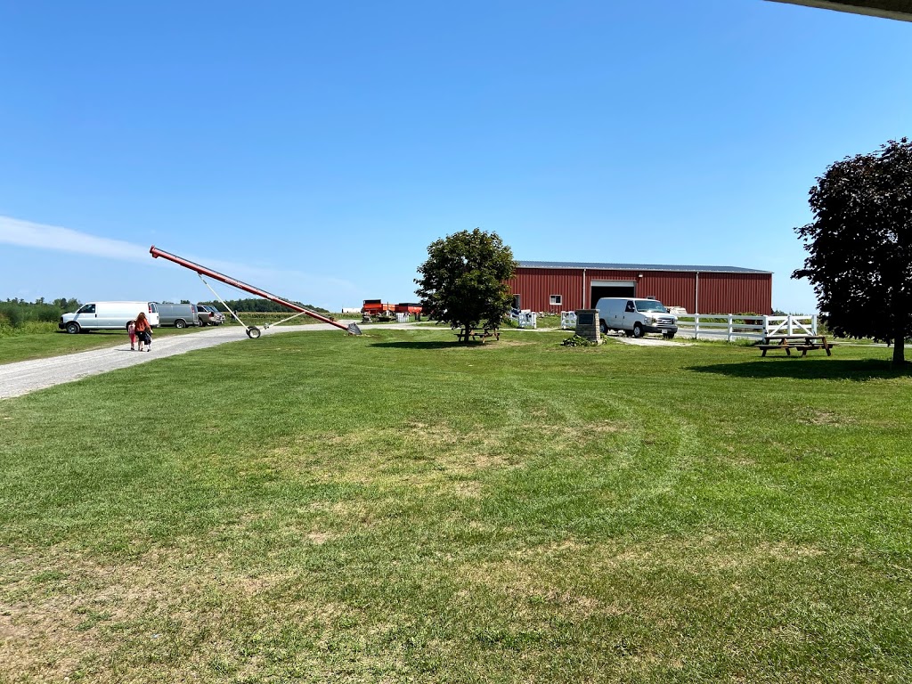 McGregors Produce | Lochwinnoch Rd, Braeside, ON K0A 1G0, Canada | Phone: (613) 432-9726