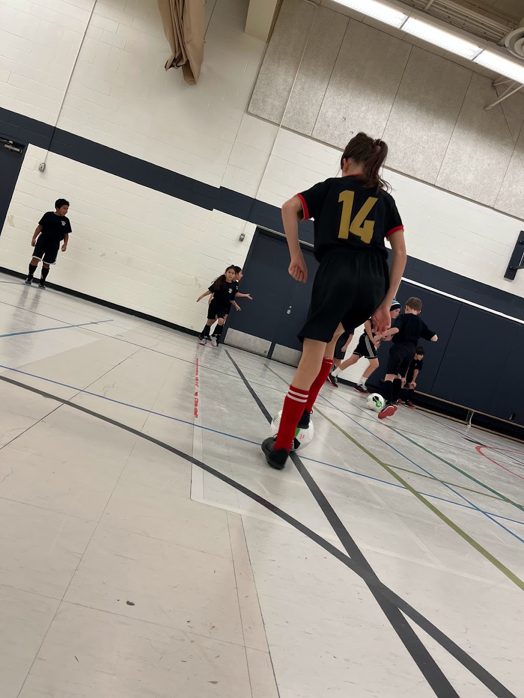 Barrie Cardinals Soccer | 59 Lampman Ln, Barrie, ON L4N 5G4, Canada | Phone: (647) 378-8742