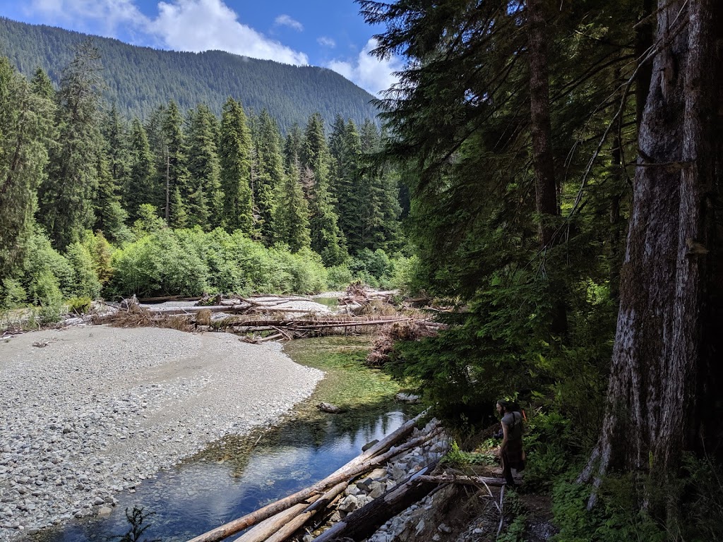 Carmanah Walbran Provincial Park | British Columbia V0S 1K0, Canada | Phone: (877) 559-2115