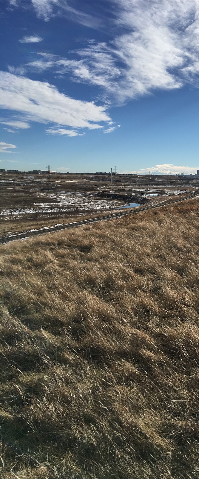 Nose Creek Park | 193 R Covington Close NE, Calgary, AB T3K 4L9, Canada