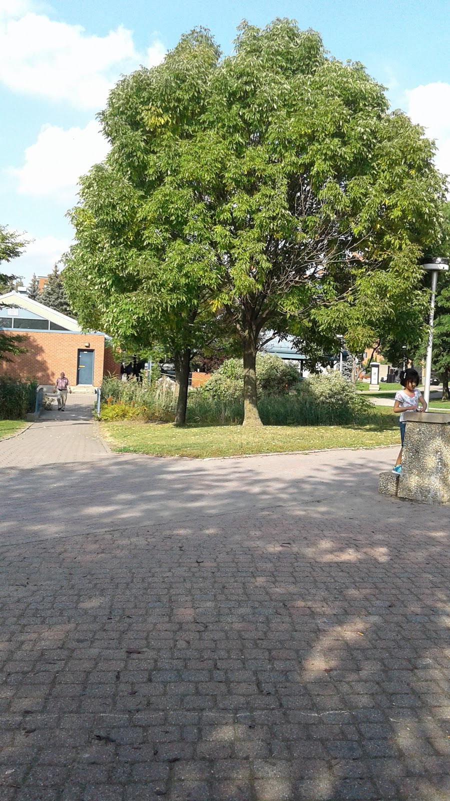 Parc Aimé-Caron | 700 Rue Muir, Saint-Laurent, QC H4L 5N5, Canada | Phone: (514) 855-6123