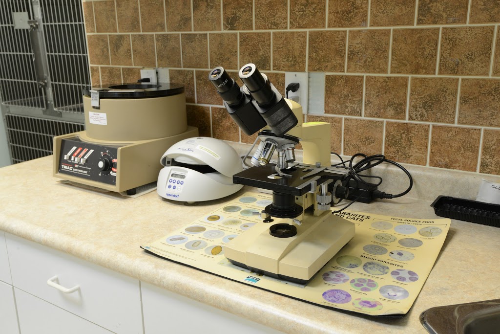 Simcoe Street North Veterinary Clinic | 1487 Simcoe St N, Oshawa, ON L1G 4X8, Canada | Phone: (905) 571-3009
