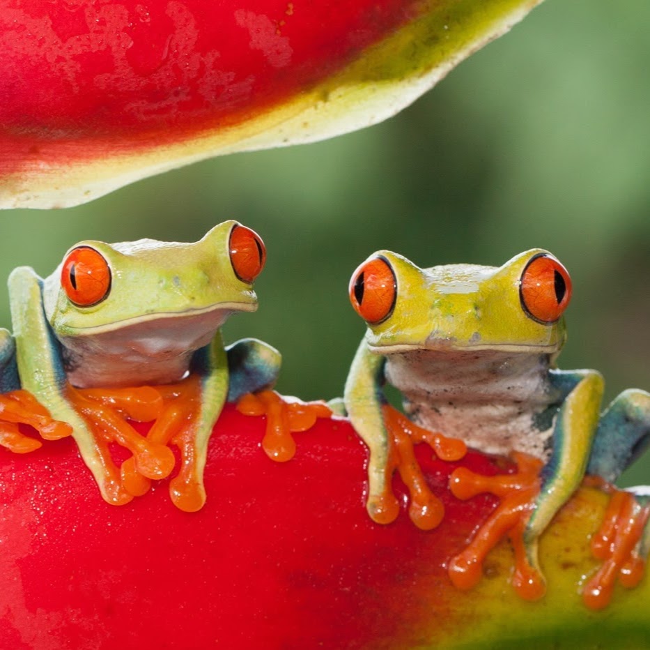 Costa Rica Soft Adventure | 5165 Edens Rd, Anacortes, WA 98221, USA | Phone: (360) 708-0025